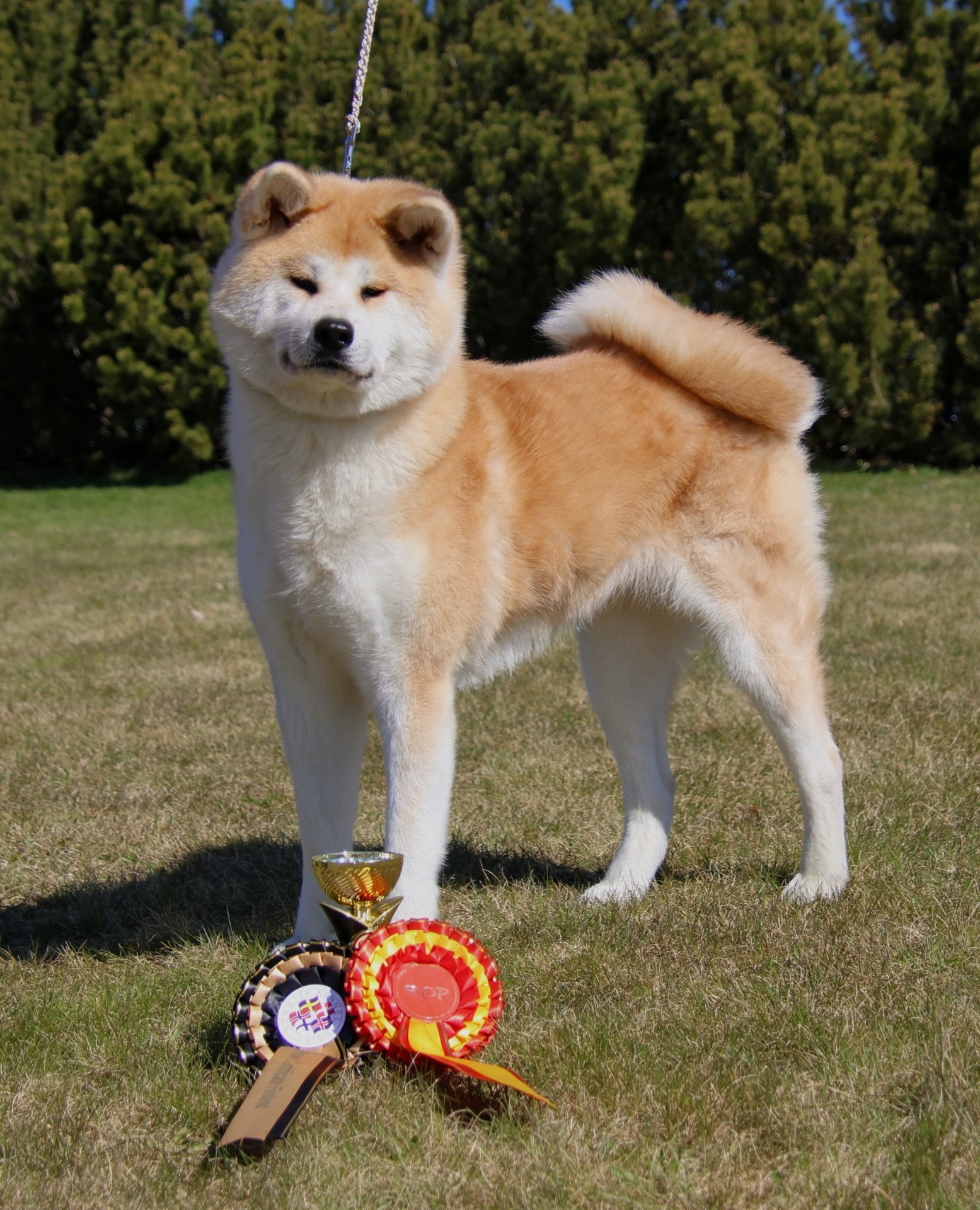 Kuva: Ninna Martikainen